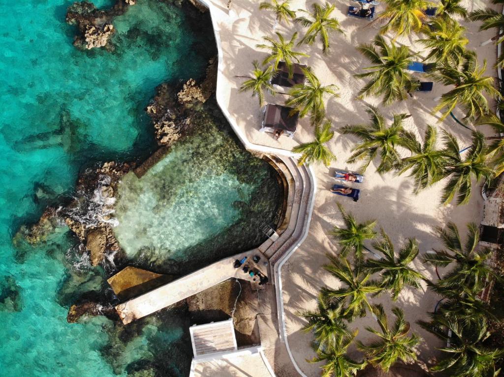 Cozumel Hotel & Resort All Inclusive - 3
