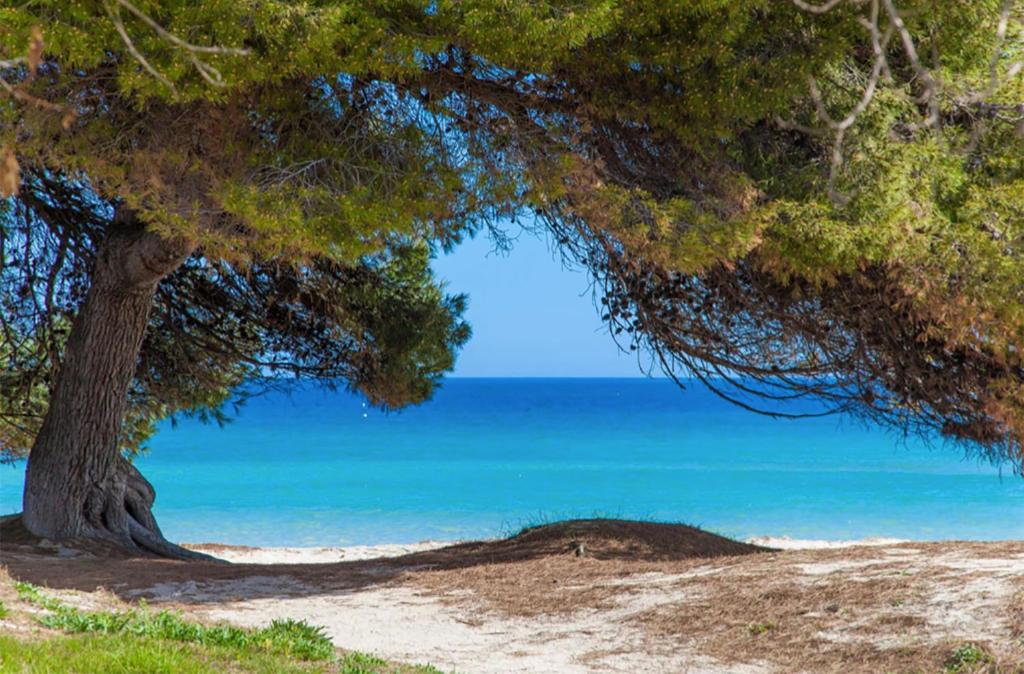 Apartment Countess Garden 2-1, Sun of the Bay Vidalba 1, at Alcudia Beach - 3