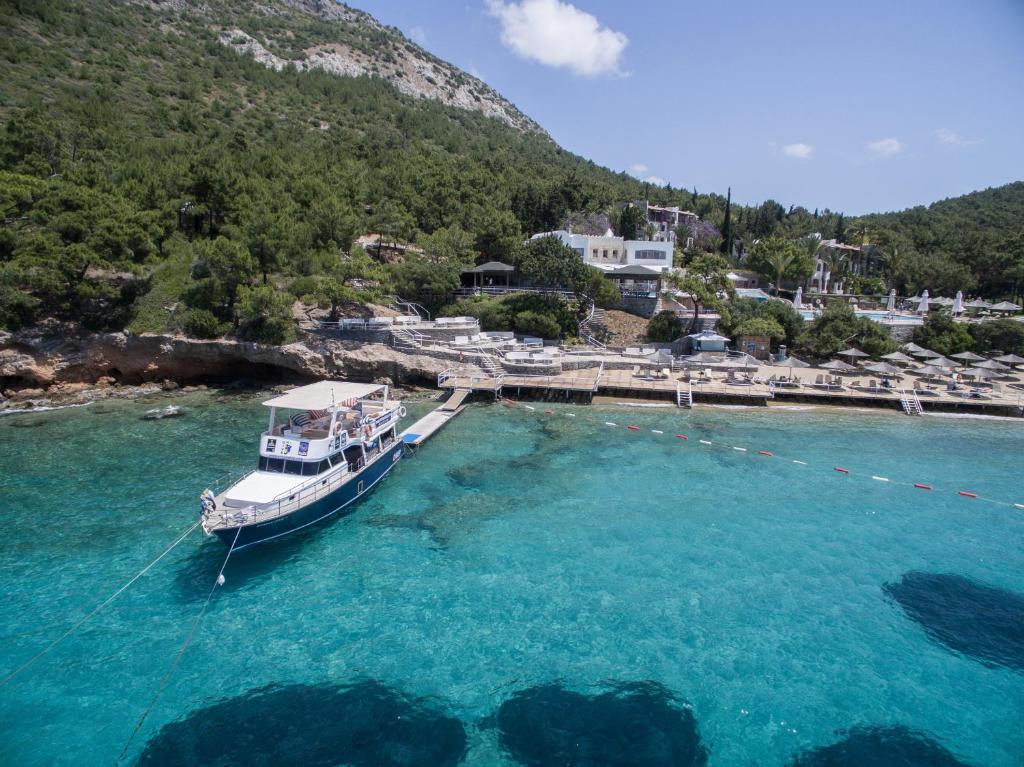 Dintorni