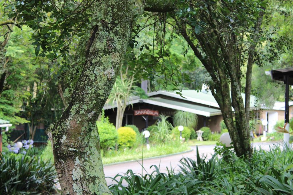 Sakabula Country Lodge — Hotel in Camperdown