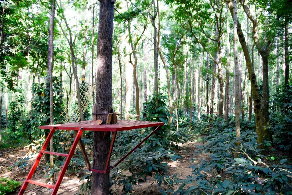 アクティビティ