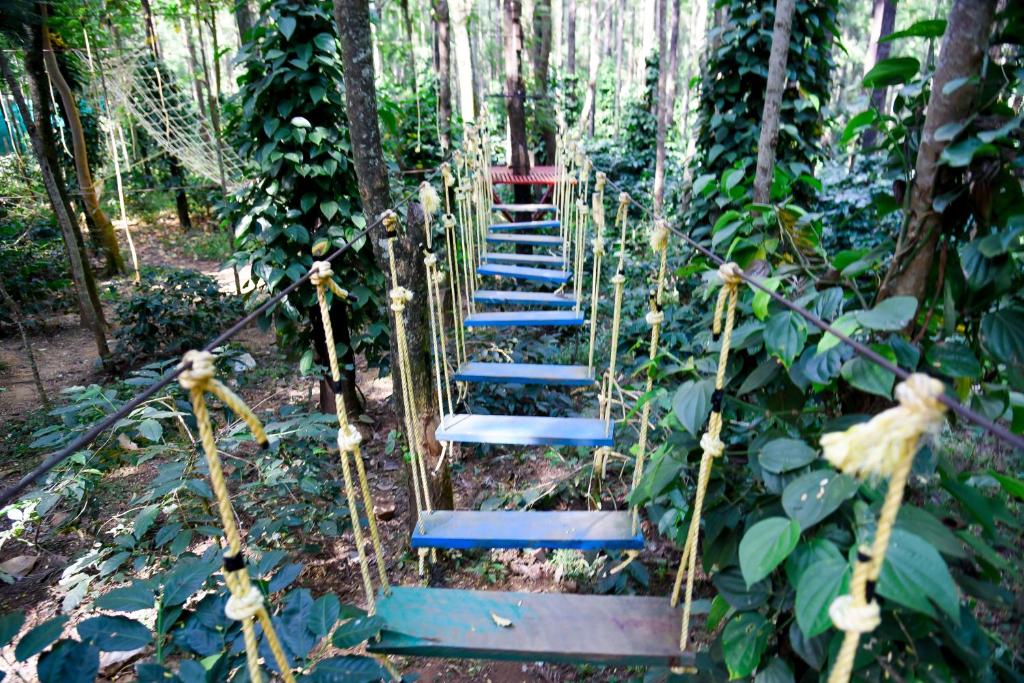 アクティビティ