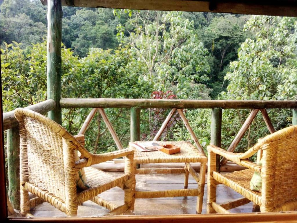 Gorilla Hills Eco-lodge photo