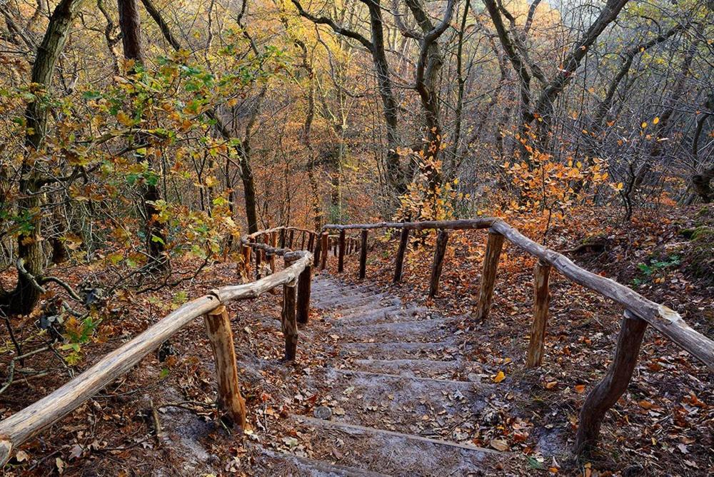 Sport i aktywny wypoczynek