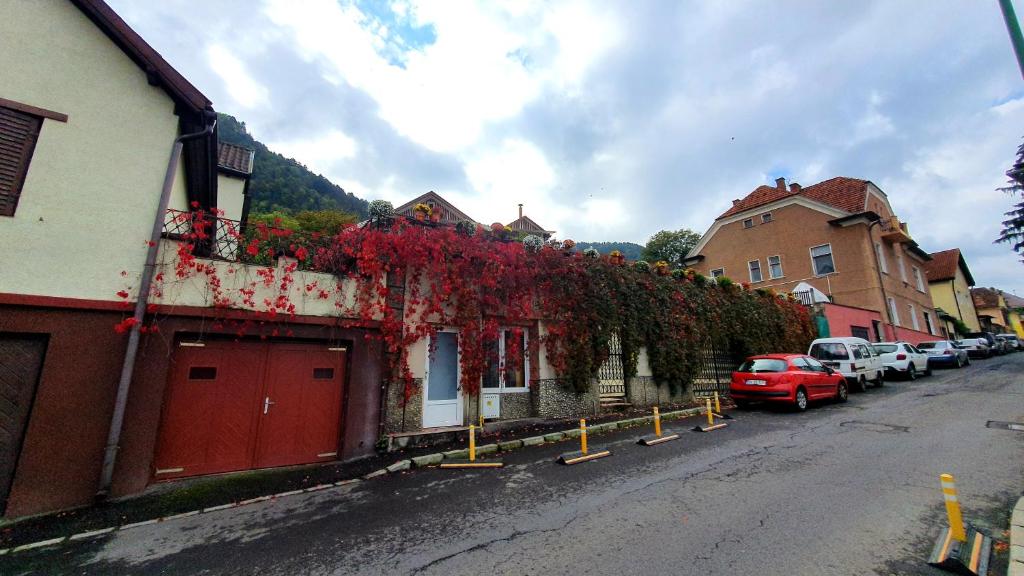 Nomad Apartment Brasov photo