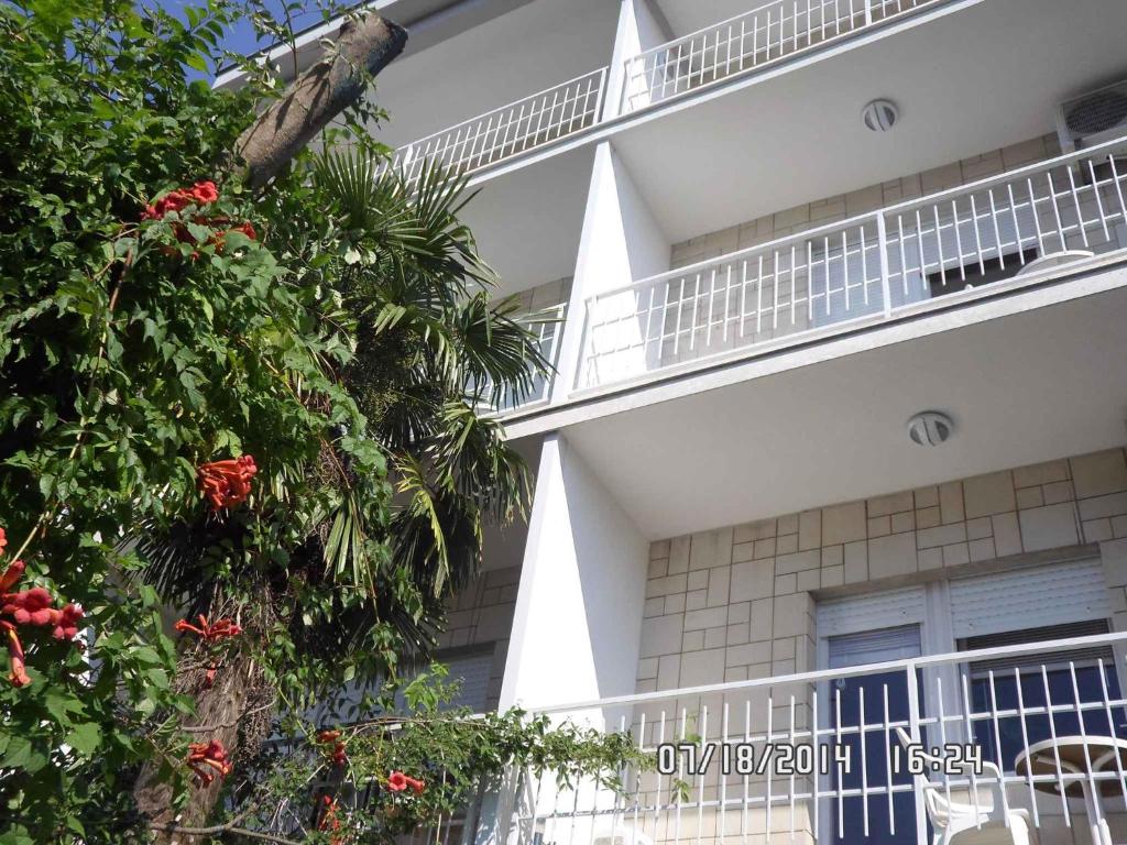 Apartment in Sukosan/Zadar Riviera 8203 전경