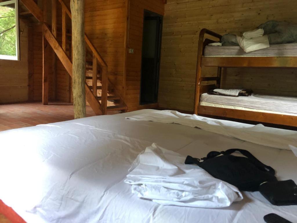 Blini-Park Guesthouse photo