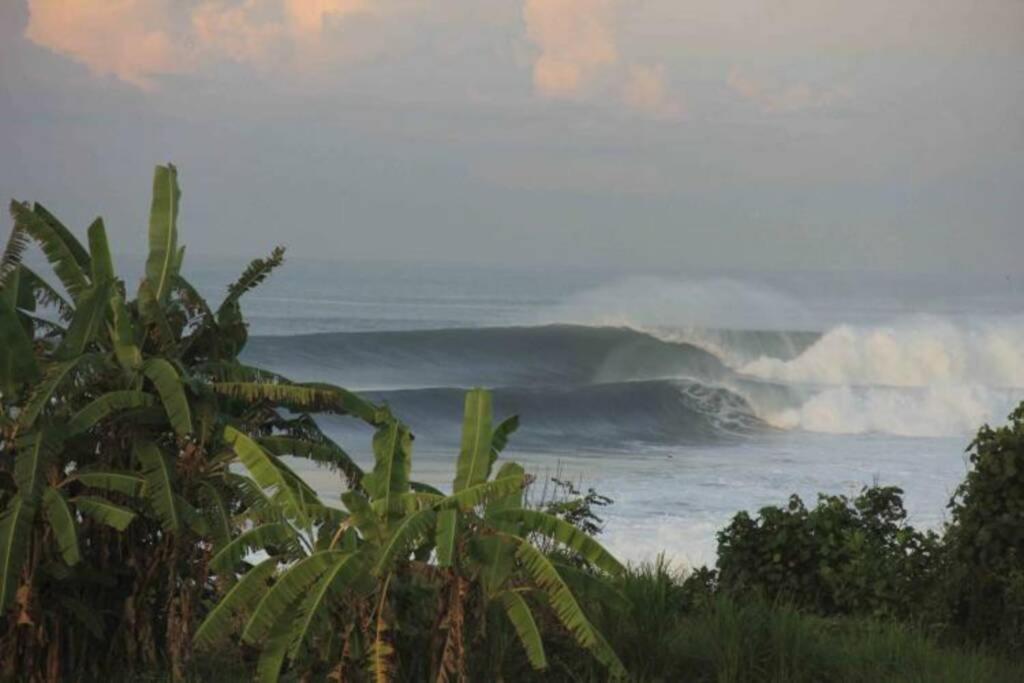 Klotok Surf Shack photo