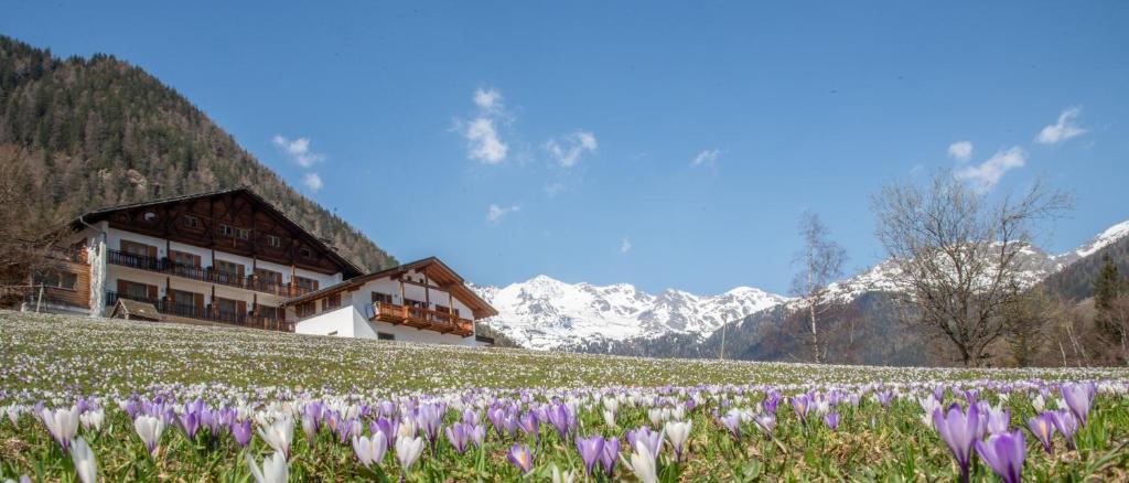 Hotel Ultnerhof, Santa Gertrude nella Val d'Ultimo Prezzi aggiornati 2024