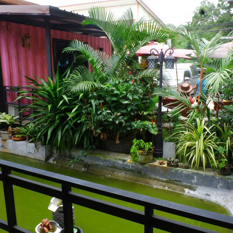 Amazon Resort photo