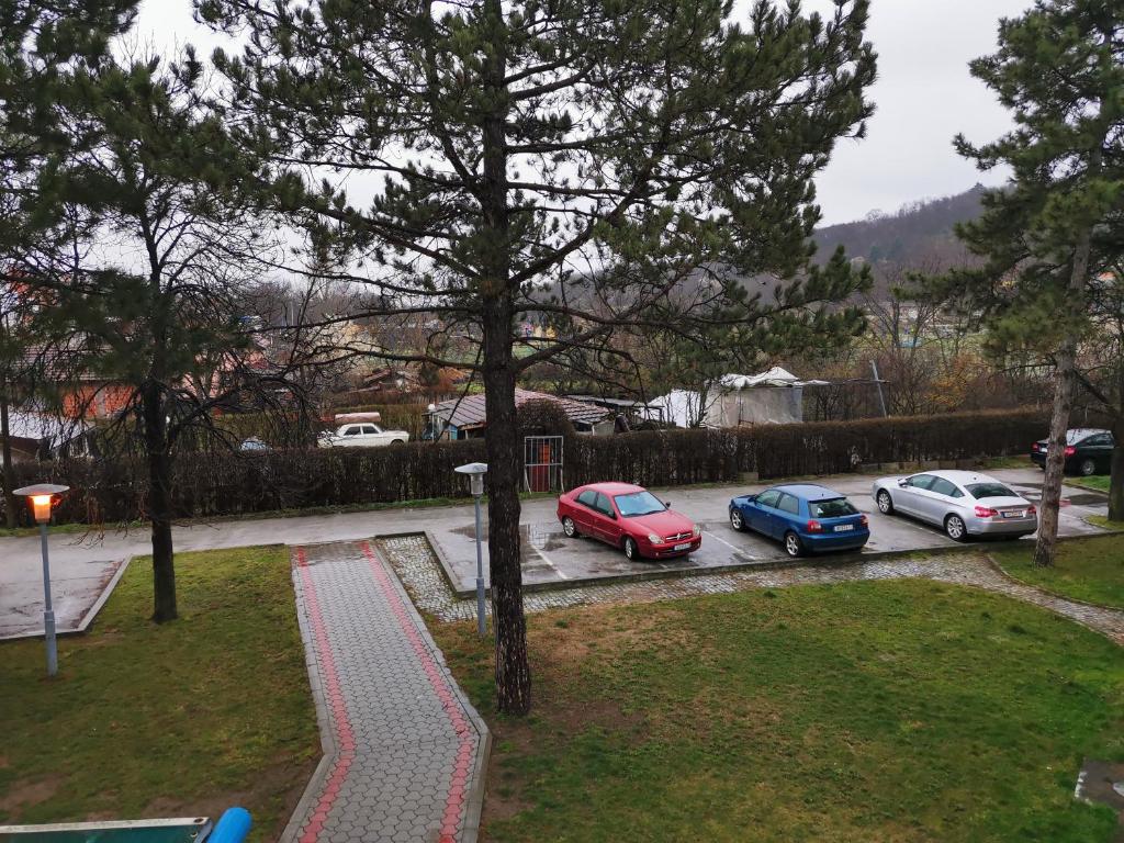 Apartmani Jasa - 5