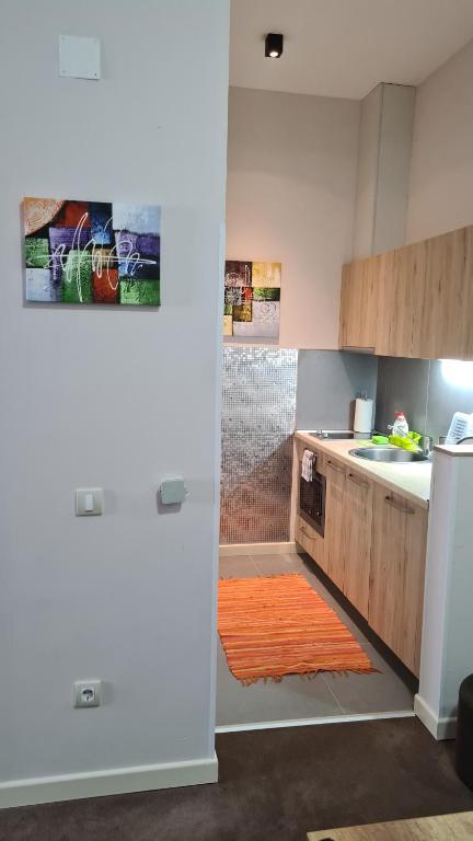 Apartman No1,Župa Wellness & Spa Kopaonik - 4