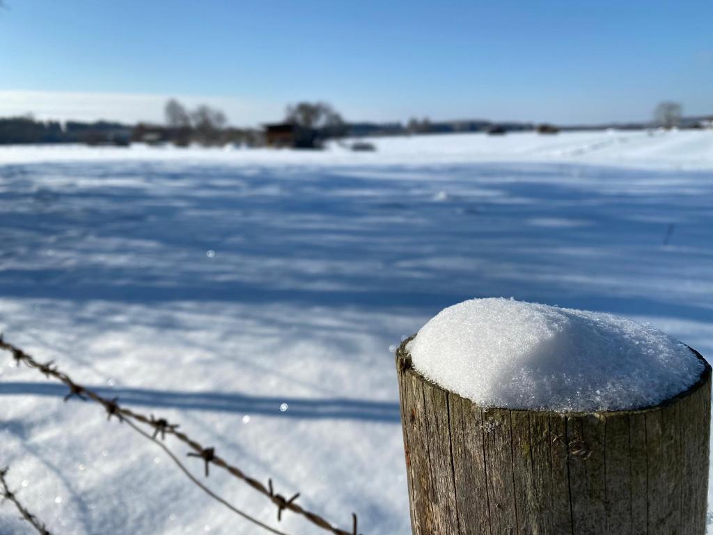 スポーツ/アクティビティ