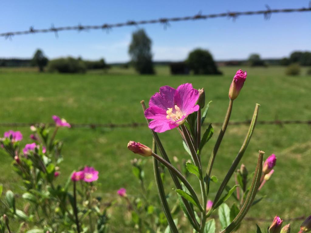 スポーツ/アクティビティ