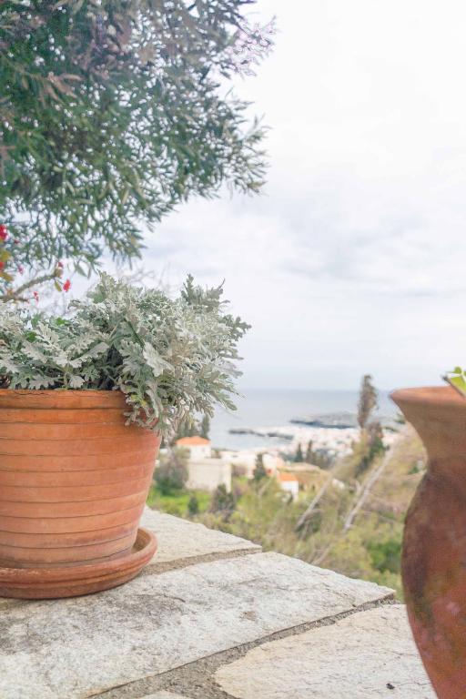 Cycladic Flat with Private Garden & Sea Views photo