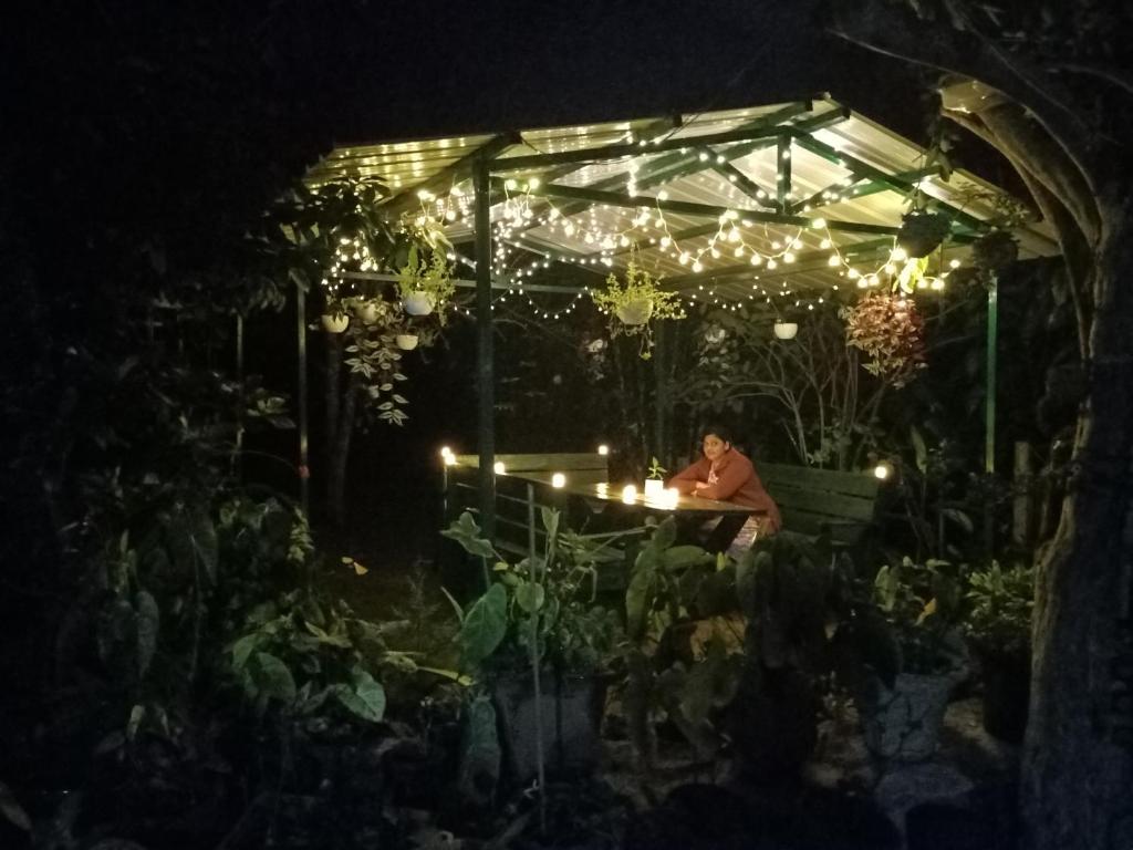 Silver Spruce Entire Nature Villa Kotagiri — Hotel in Ooty