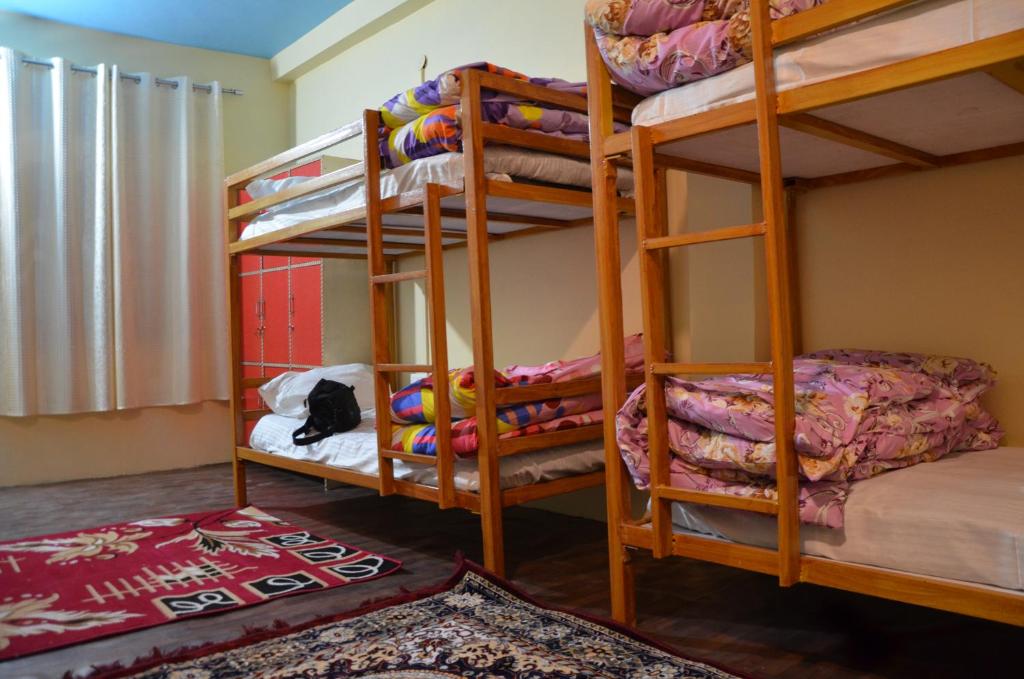 The Birds Hostel, Dalhousie photo