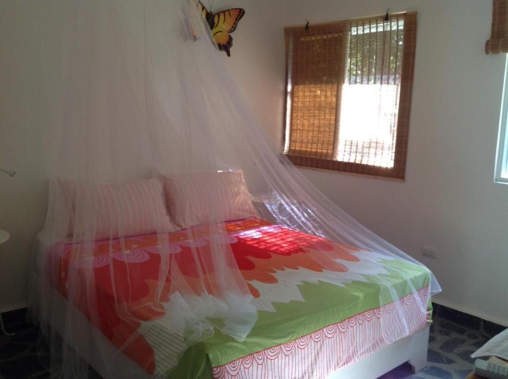 Bungalow Natura Village photo