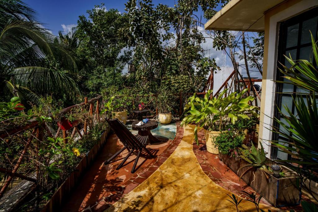 Maison Tulum photo