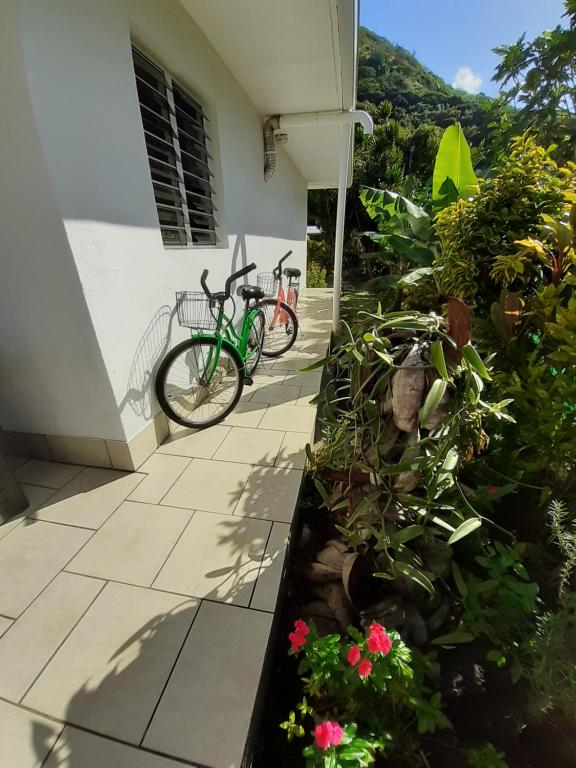 Sports and activities