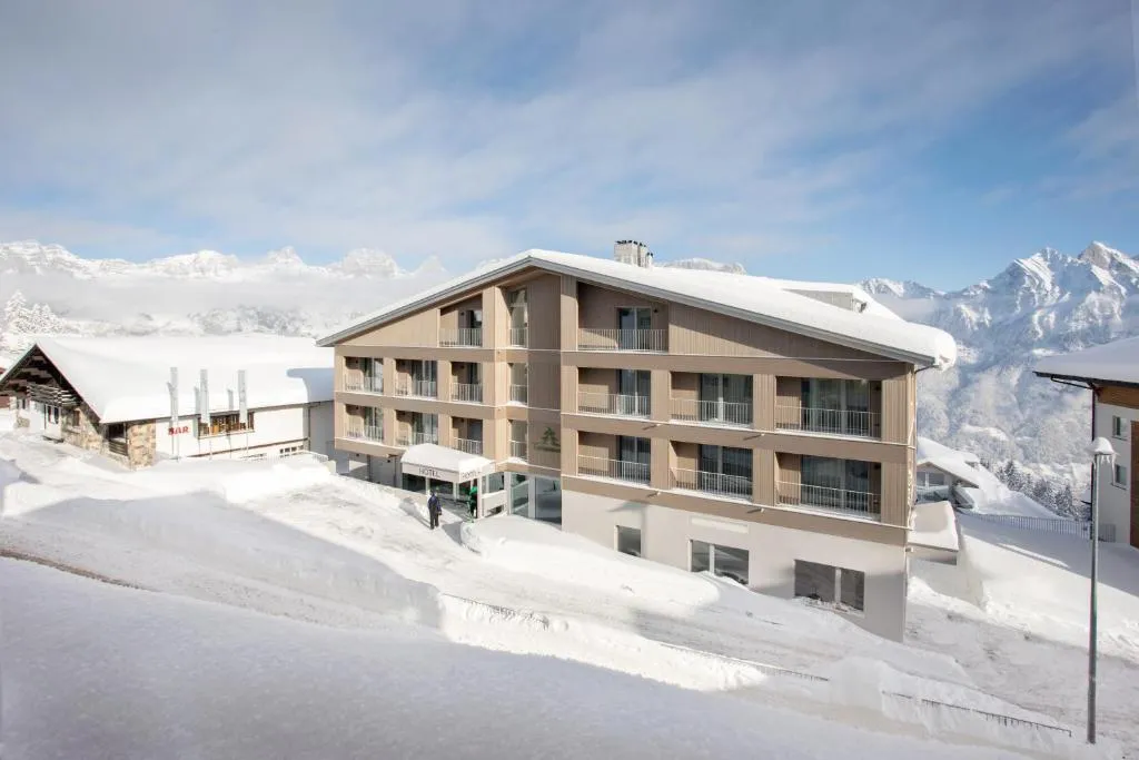 Hotel Tannenboden，位于芙露姆赛山的酒店