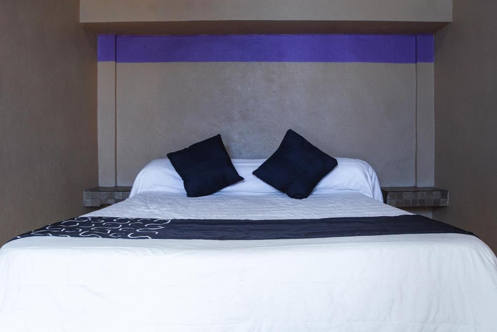 Hotel Platino - 5