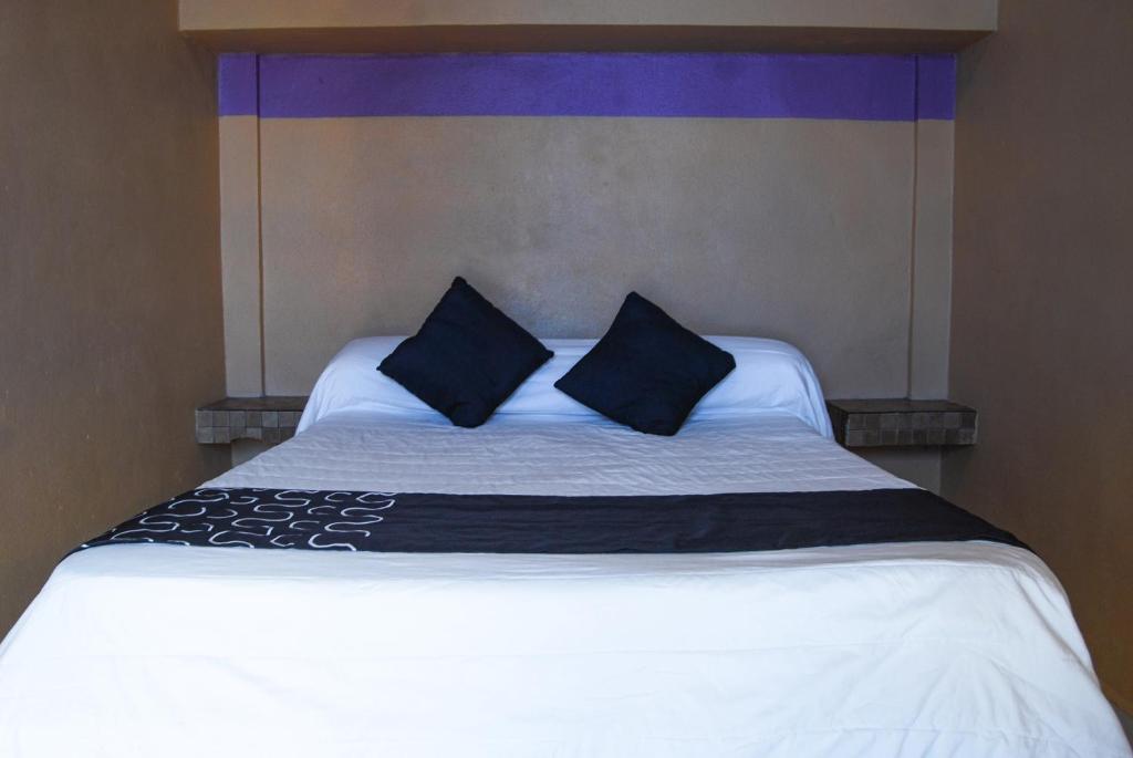 Hotel Platino - 3