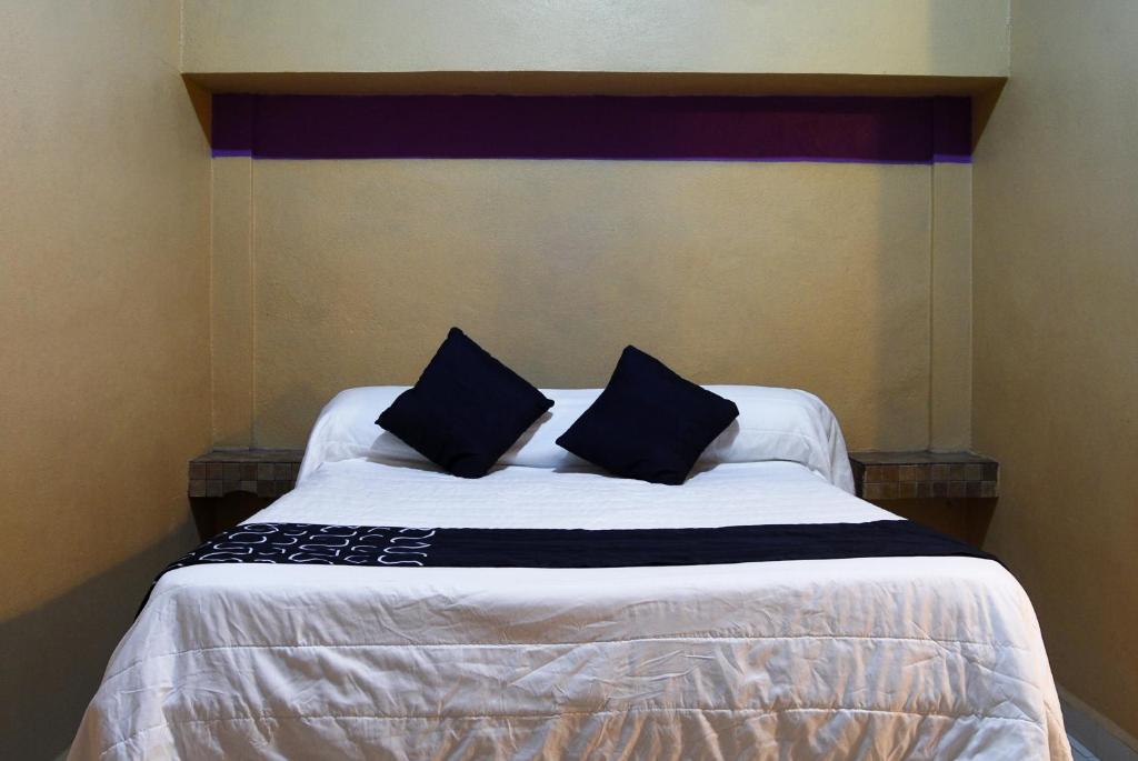 Hotel Platino - 1