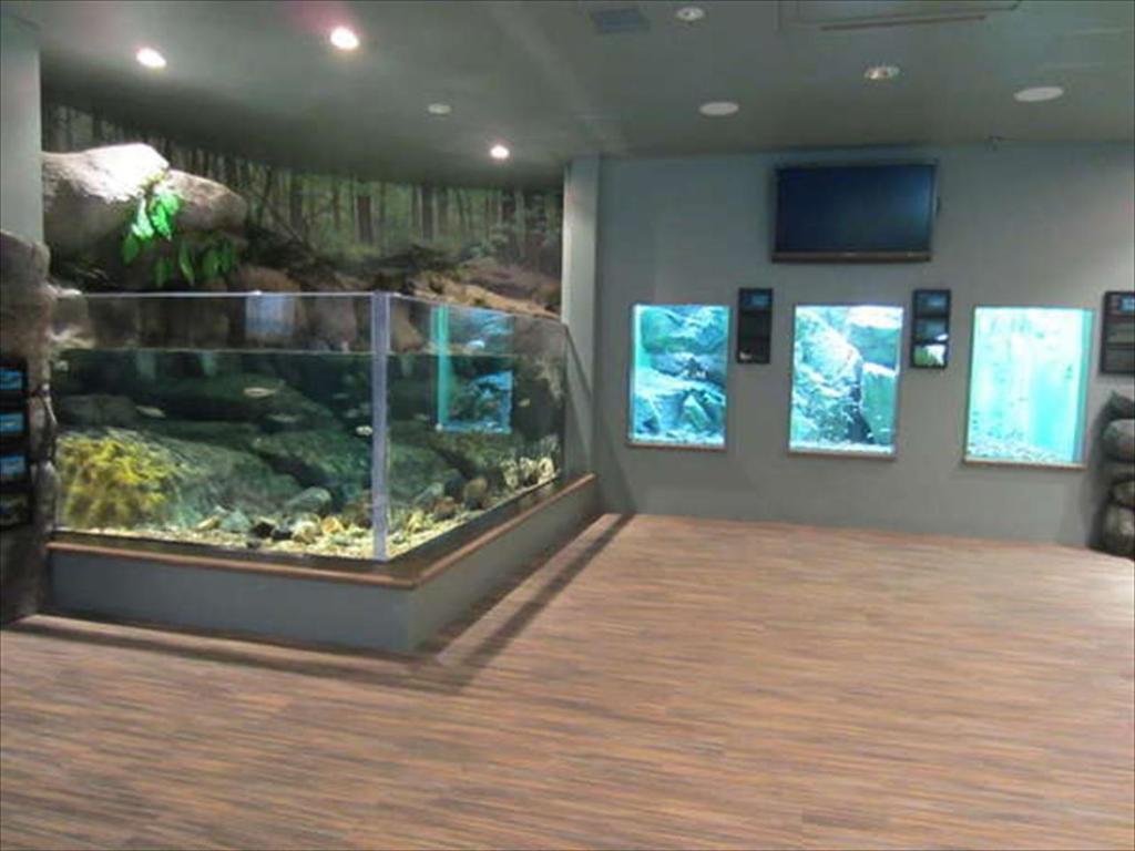 Nearby attraction