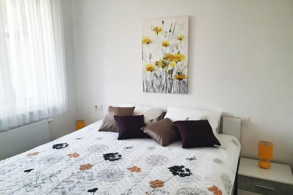 No.5 Apartment, Záhřeb