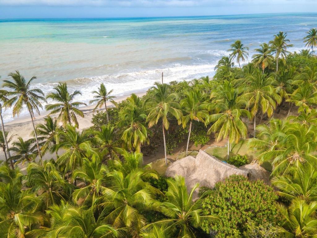 Senda Casalina Ecolodge — Hotel in Palomino