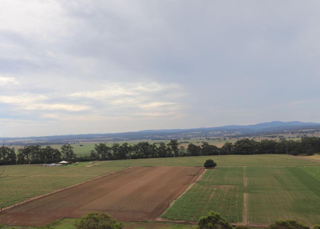 Snowy river homestead photo