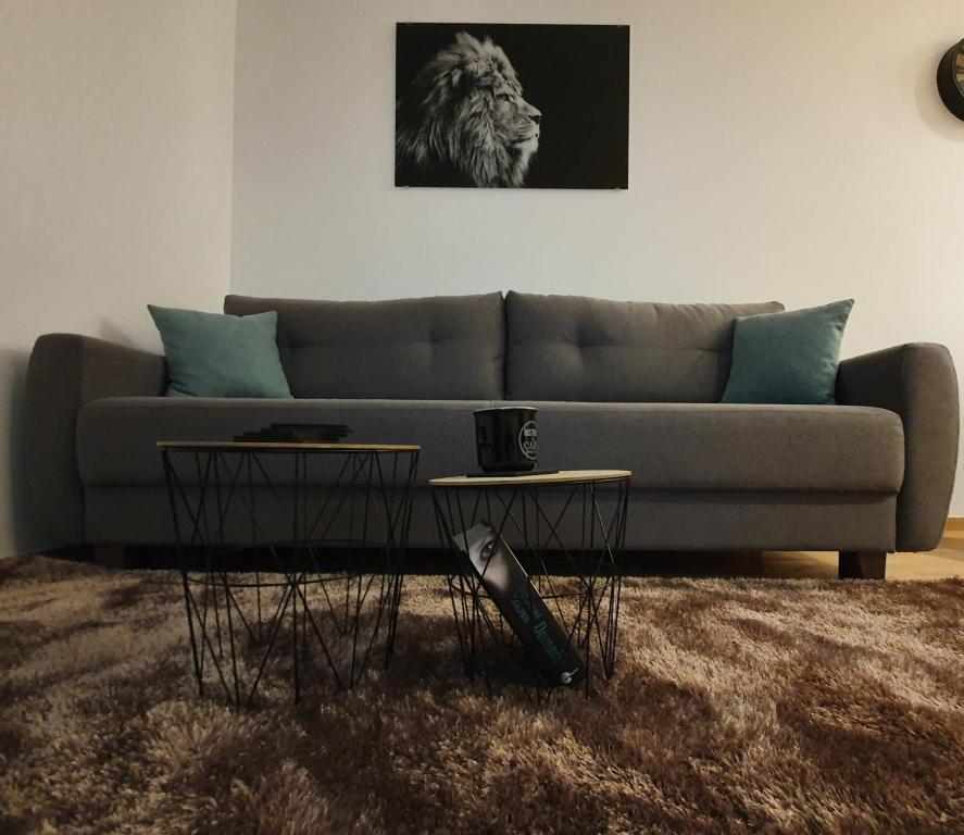 Vila Irina Kopaonik - Apartman IN - 2