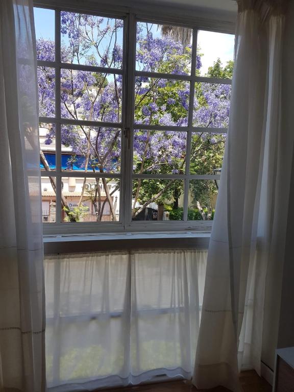 BOLIVIA beach apartments - 4