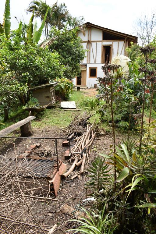 Finca Cafetera Momota