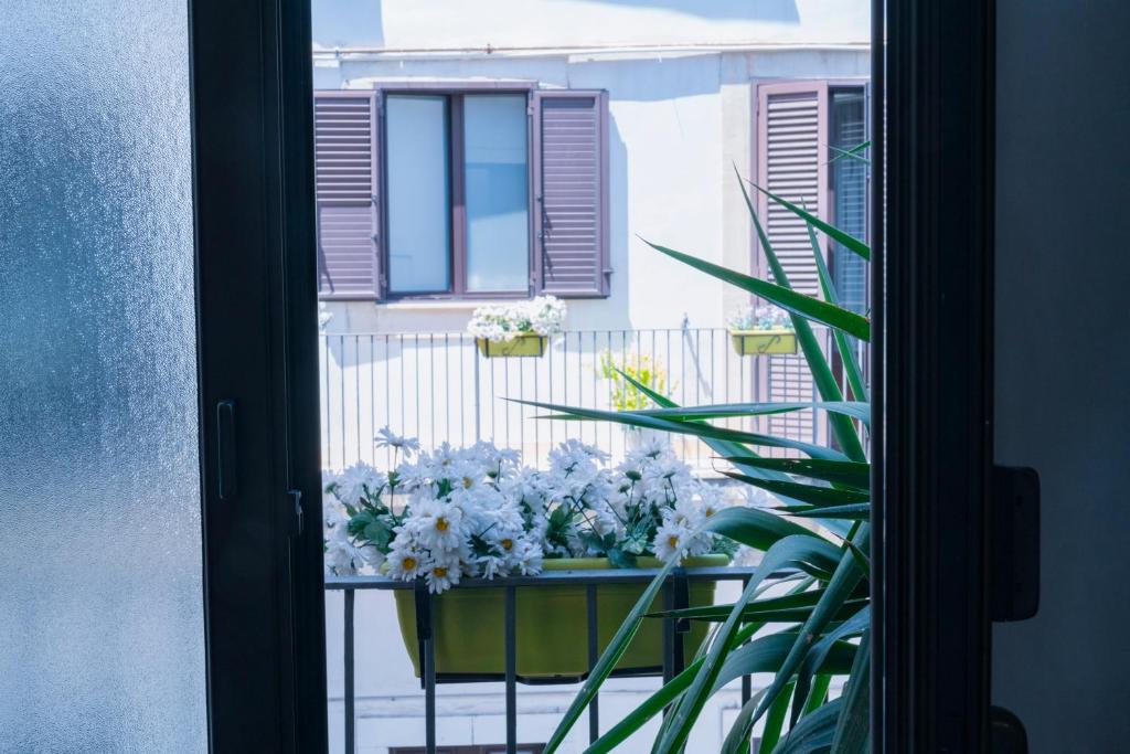 Etna Suite Group - 5