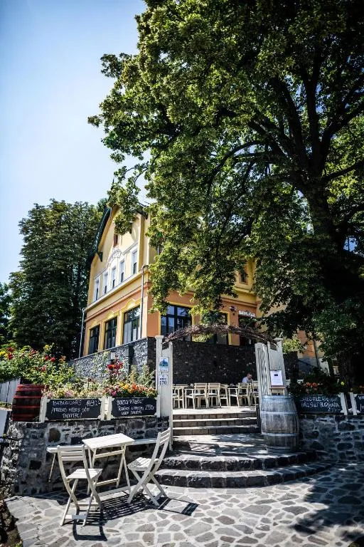 Neptun Badacsony, hotel in Badacsonytomaj
