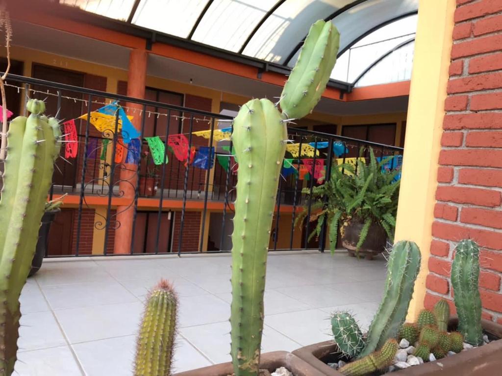 Hotel La Cascada Oaxaca - 4
