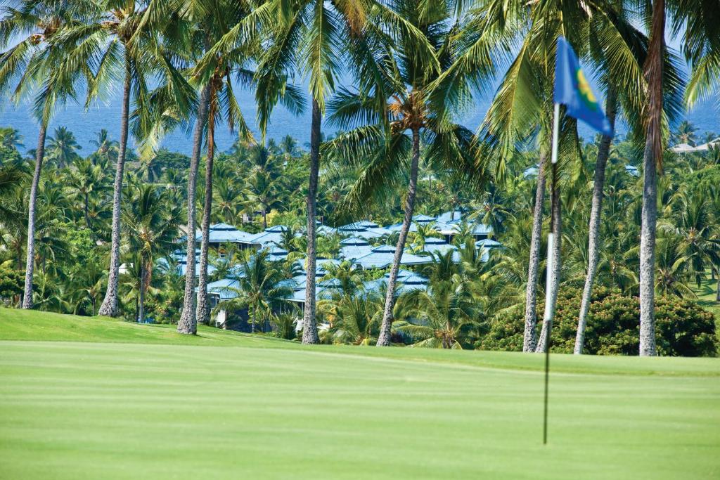 Golfpálya [saját]