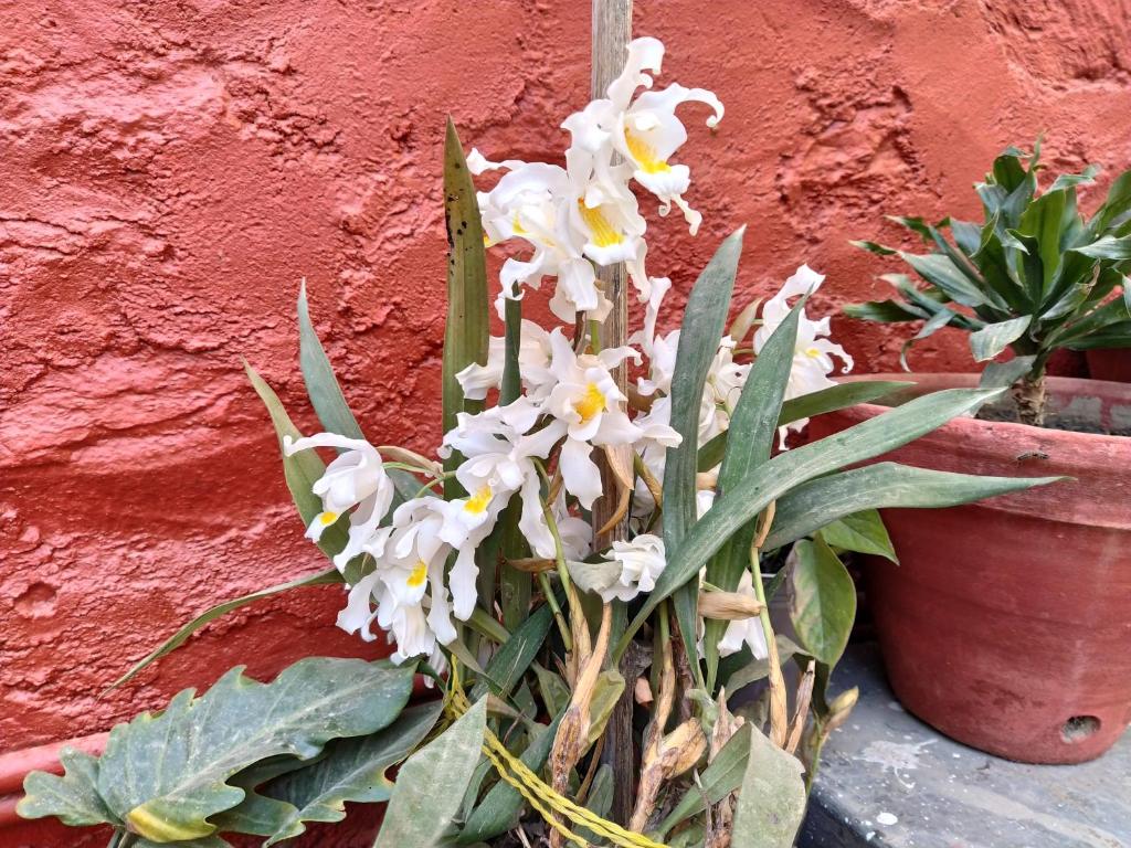 Bhattidanda Fresh & Natural Homestay, Dhulikhel