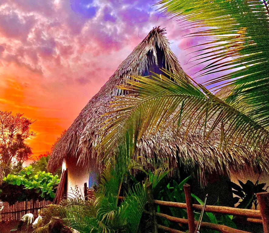 Sunrise El Paredon 전경
