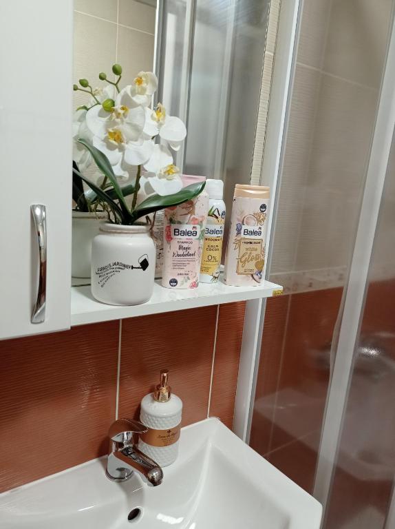 Apartman Harmonija Vrnjacka Banja photo
