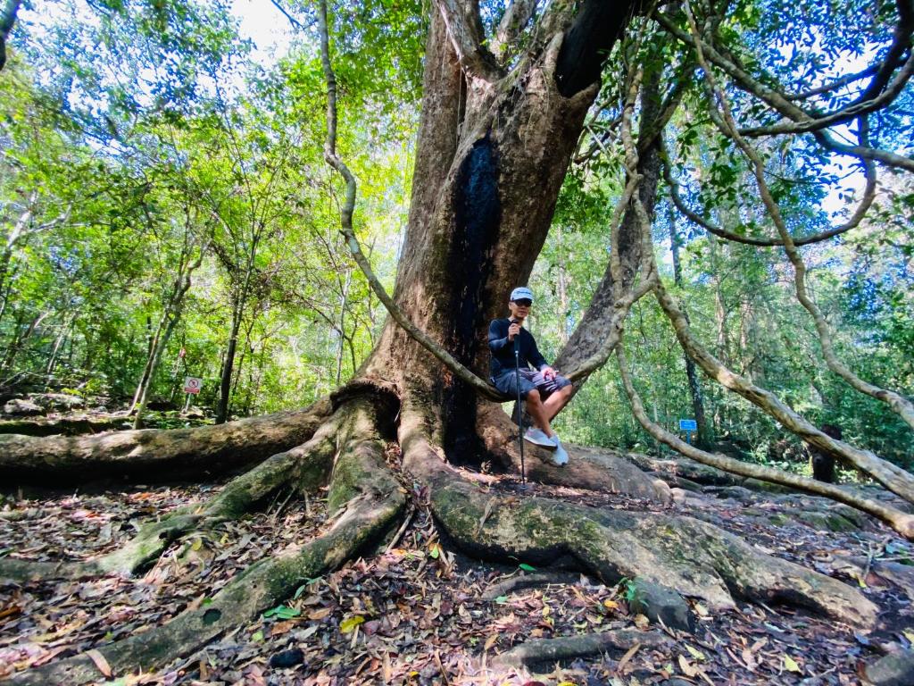 Surrounding environment