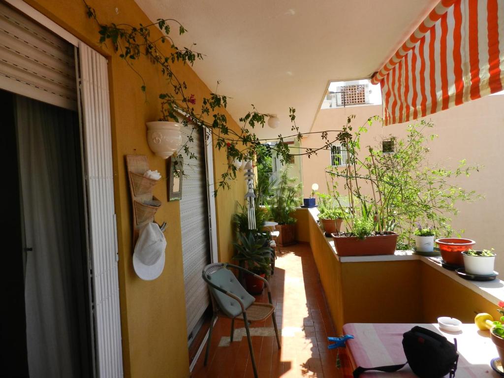 Pedregalejo Room - 5