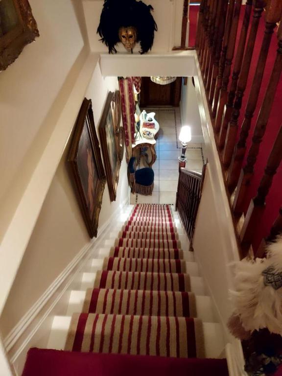 Olivia House photo