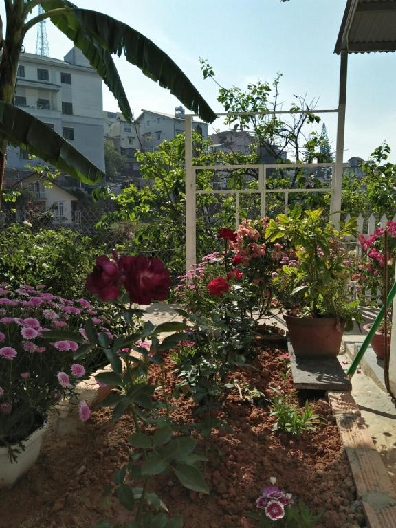 Nhà của Sóc, Dalat