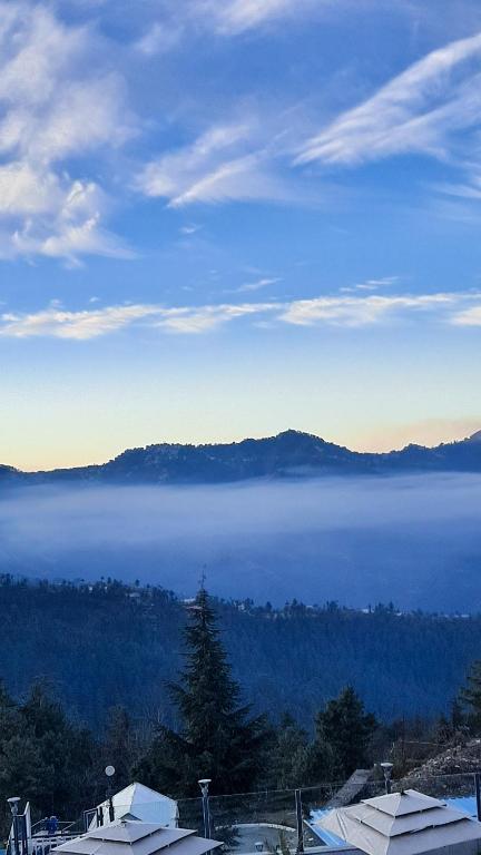 Surrounding environment