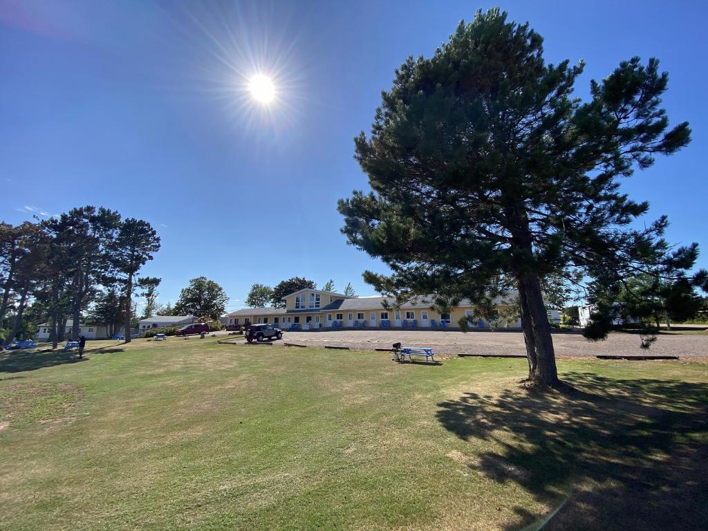 The Pines Motel and Cottages photo