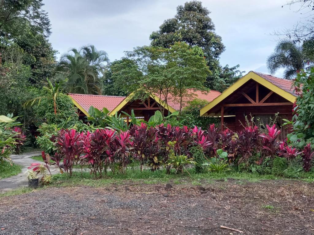 Selvita Lodge Arenal photo