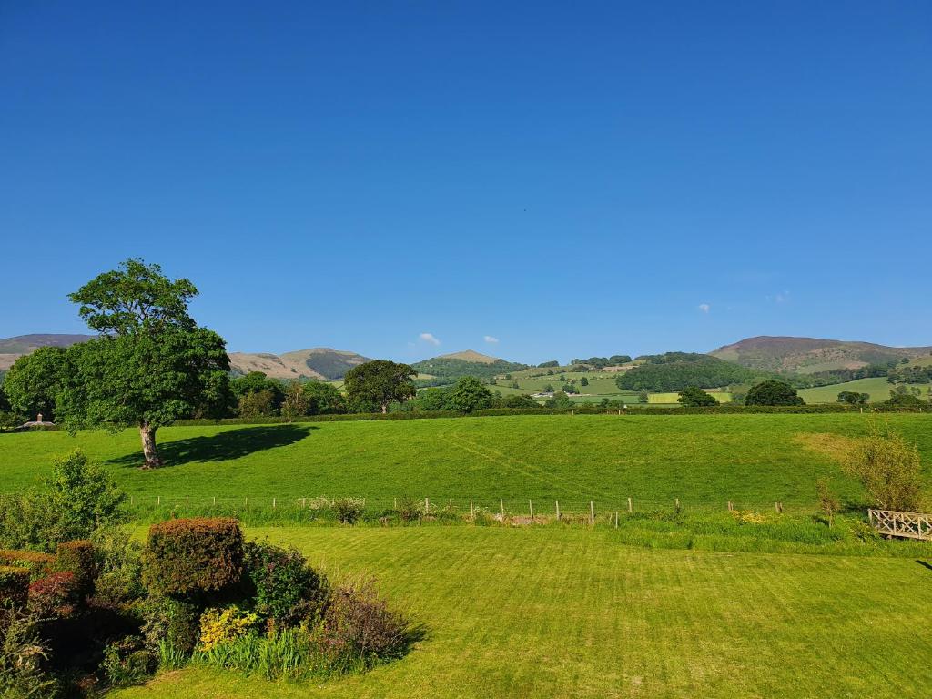 Curlew's Nest, Ruthin photo 7